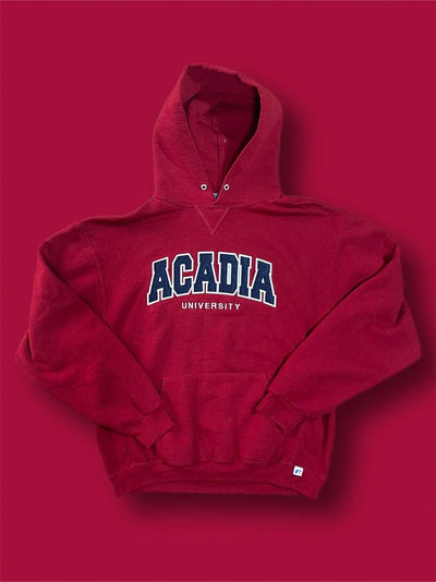 Felpa Hoodie Russel Acadia vintage tg L Thriftmarket